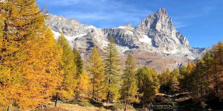 Maison Gorret is located in Valtournenche near Cervinia. I offers chalets and apartments for rental all year around.