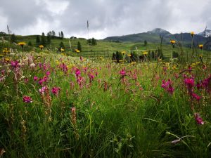 Chalet Mont Cervin Page Header