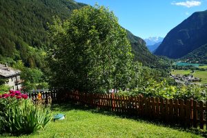 Mont Rose cerco 1500