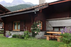 giardino mont cervin 1