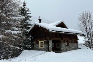 Day view of a house in a snowden landscape