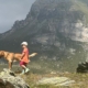 A child with his dog hiking in the Alps during a family and pet friendly vacation at Maison Gorret